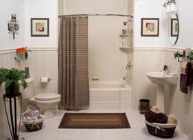 Tub to Shower conversion Bathroom Remodeling photo